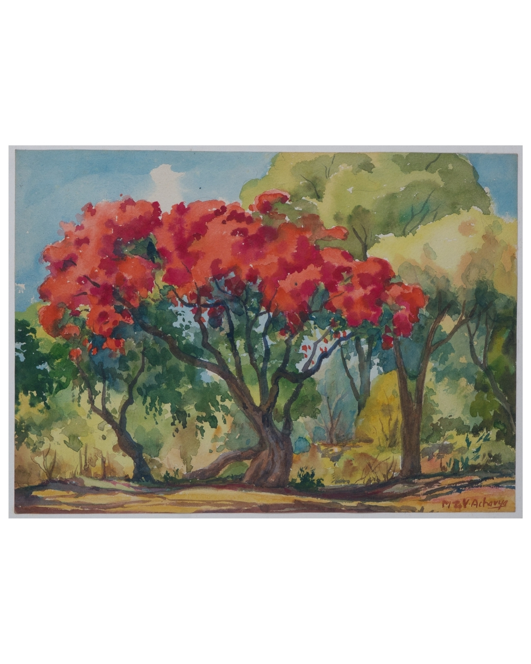 Flame of the Forest